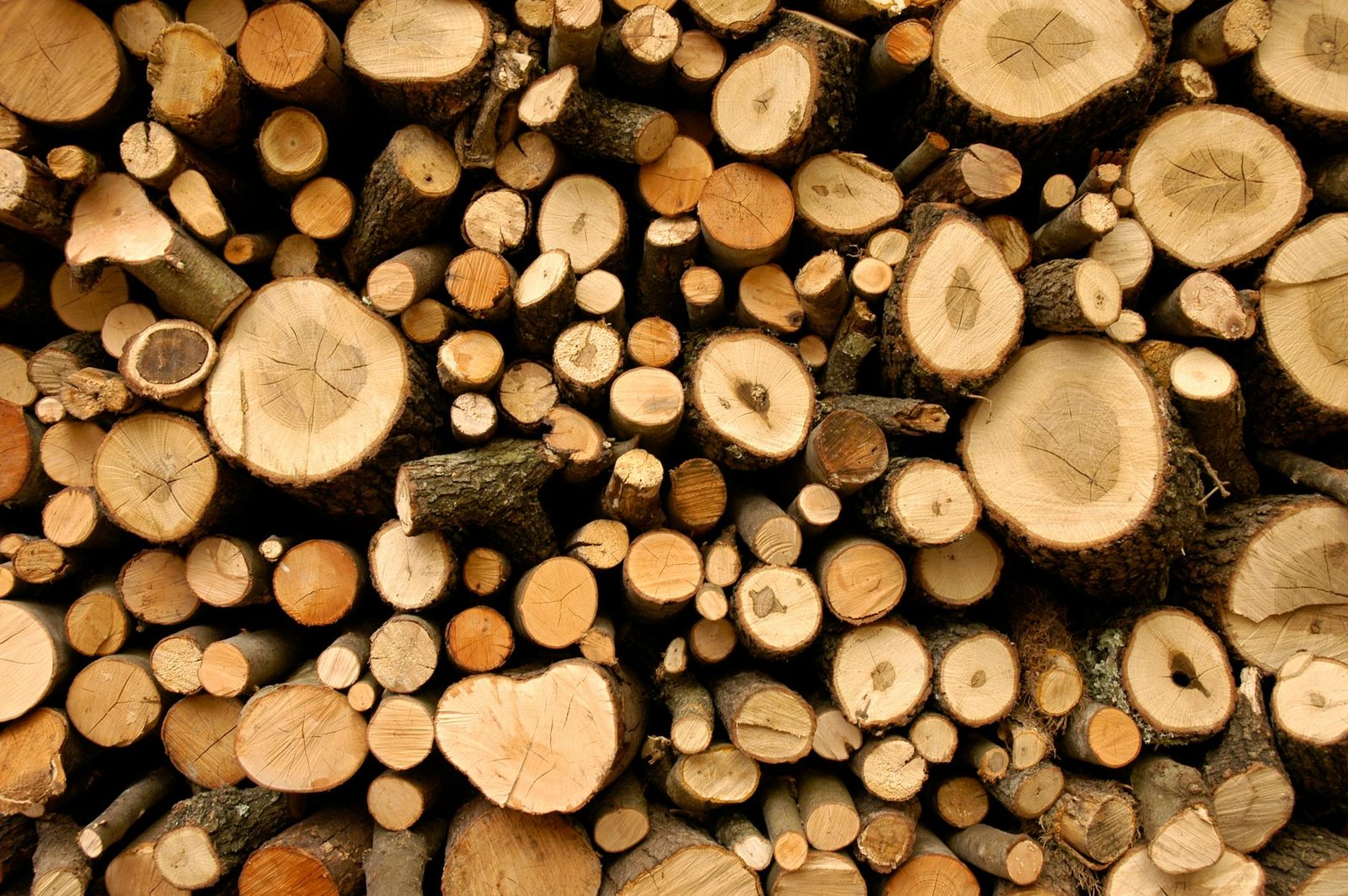 A neatly stacked pile of natural cut firewood, perfect for rustic themes and environmental concepts.